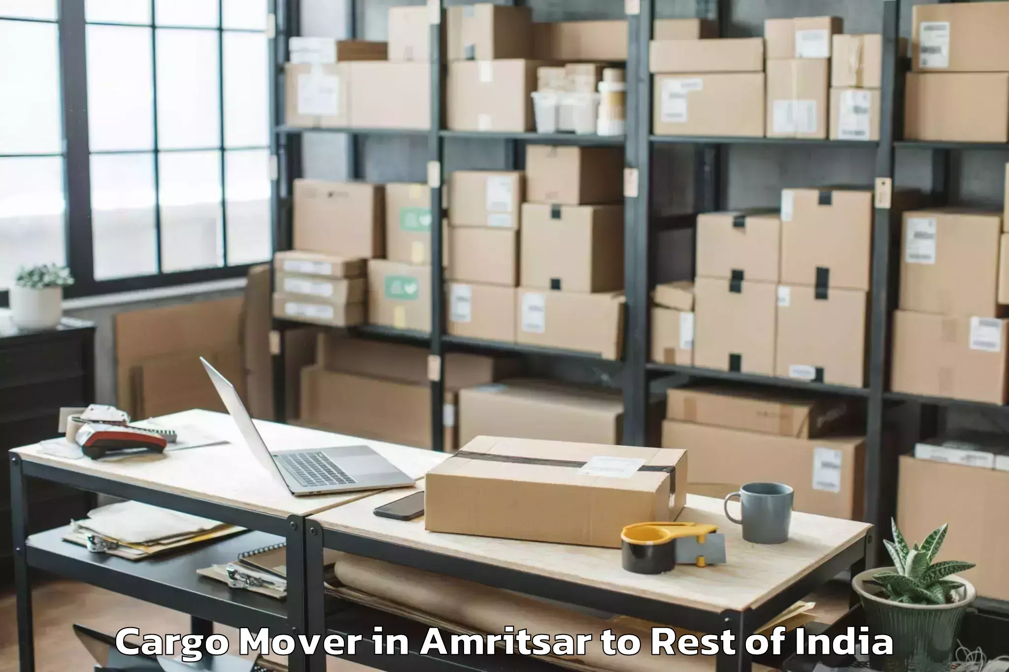 Book Amritsar to Weepangandla Cargo Mover Online